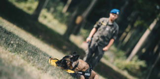 On the right track: Austrian Armed Forces train coronavirus sniffer dogs