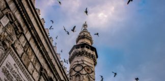 Weichenstellung über Syrien hinaus @abd sarakbi on Unsplash