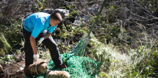 Kärnten: Entminungsdienst birgt 279 Kilogramm Munition @Bundesheer/Pusch