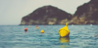 Nur gut abgesichert ist wirklich sicher @Alex Blăjan on Unsplash