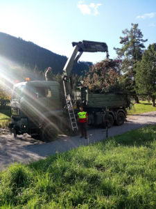 @Federal Army/Forestry MilK