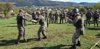Training cooperation with Bosnian strike forces