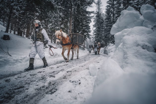 @Bundesheer/Trippolt