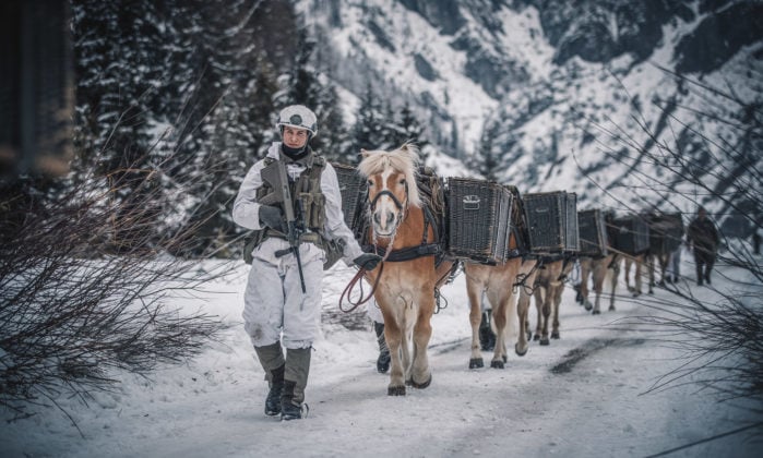 @Bundesheer/Trippolt