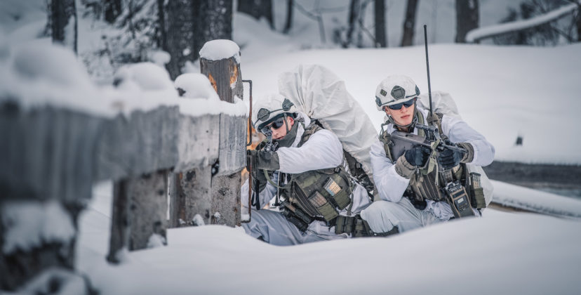 @Bundesheer/Trippolt