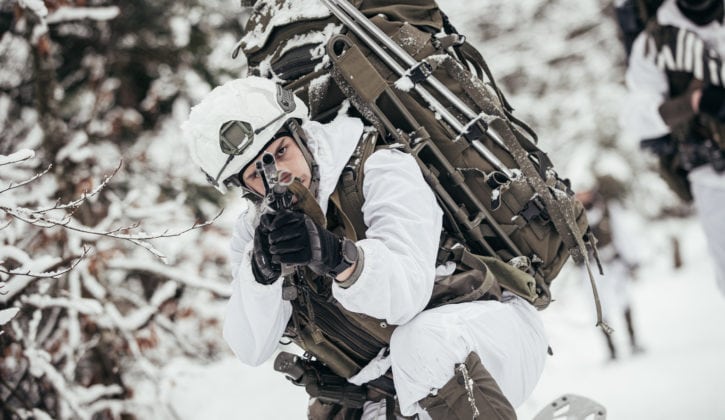 @Bundesheer/Trippolt