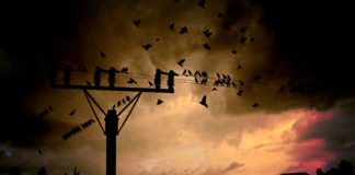 New challenges for the armed forces