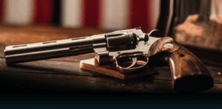 Traditional US company Colt becomes Czech