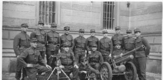 Armament in the armed forces of the First Republic