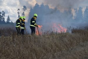 @Federal Army/Pollak