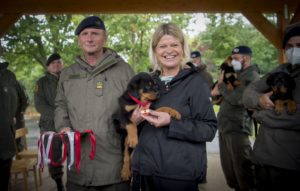 @Federal Army/Karlovits