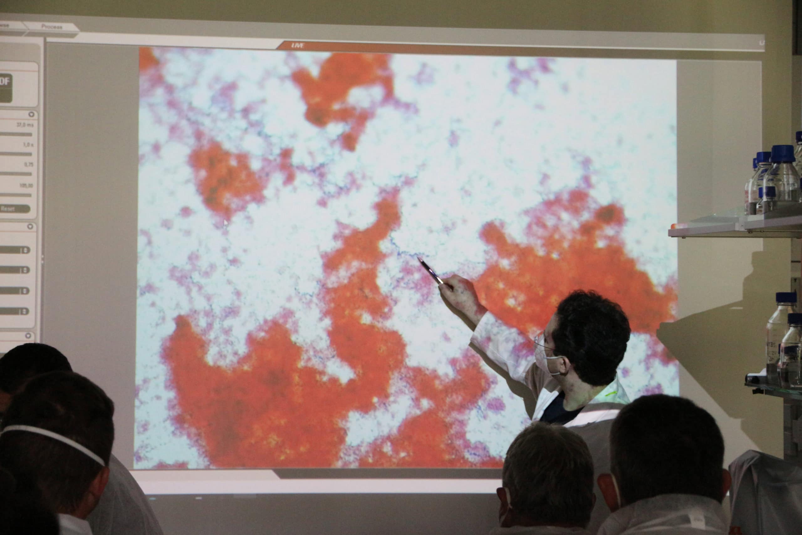 @Federal Army/Harant @Federal Army/Harant