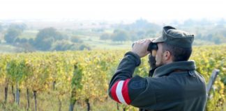 ÖBH: Border operations have been significantly expanded