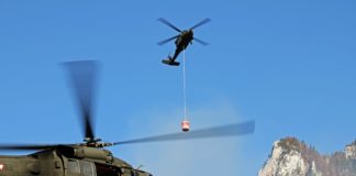 Forest firefighting successfully completed in Lower Austria