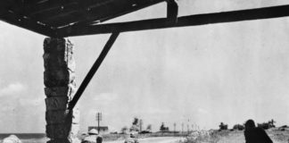 New light on the Lebanon-Syria campaign