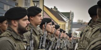 Feierliche Angelobung in Allentsteig @Bundesheer/Grestenberger