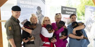 Seven new military dogs put into service