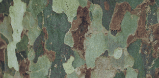 Saab kauft sich bei Helsing ein @James Wainscoat auf Unsplash