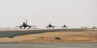 Germany takes part in the “Desert Air 2023” exercise