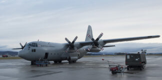 Israel: Armed Forces evacuation flights delayed