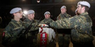 Rekruten der Theresianischen Militärakademie angelobt @Theresianische Militärakademie