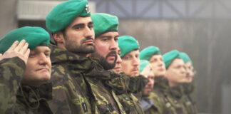 Millionen-Auftrag für Carinthia aus Tschechien @Chech MoD