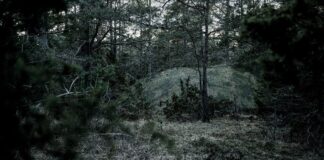 Frankreich bestellt bei Saab Barracuda-Tarnnetze @Ministère des Armées