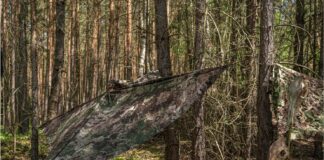 Phantomleaf at the IWA 2024: Obviously well hidden