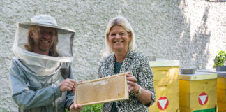 The army relies on its army of bees