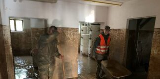 Armed forces help in Burgenland & Styria