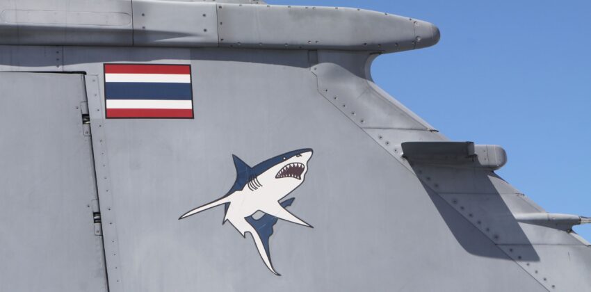 Gripen C der thail&auml;ndischen Luftwaffe &ndash; &copy;Georg Mader