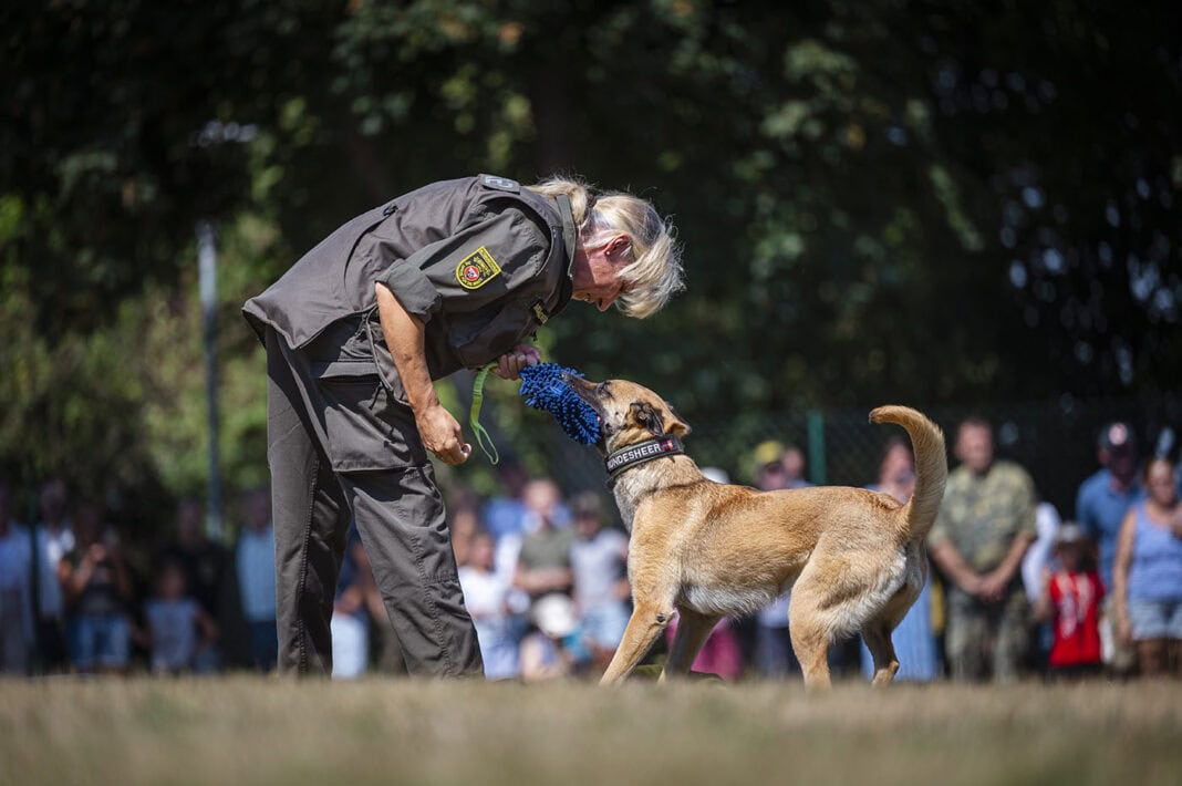 Rottweiler im Militärhundezentrum Kaisersteinbruch - ©Bundesheer/Kulec Rottweiler im Militärhundezentrum Kaisersteinbruch - ©Bundesheer/Kulec