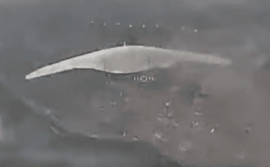 Abfangdrohne im Einsatz – ©Archiv Abfangdrohne im Einsatz – ©Archiv