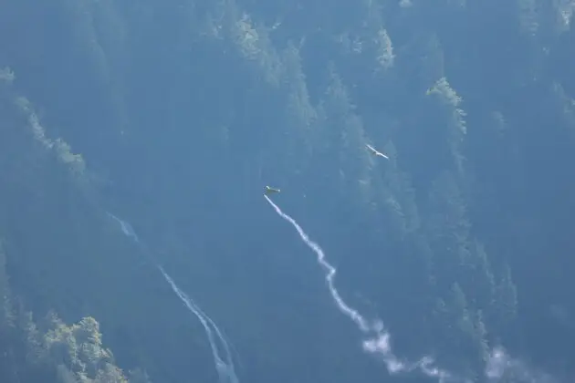 Herausforderung f&uuml;r die Sensoren: Shahed-Drohne (mit Rauchfahne zur Verdeutlichung), vor kontrastreichem Hintergrund und neben gro&szlig;em Vogel. &copy;Milit&auml;r Aktuell/Bendl