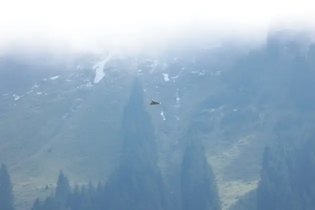 Ungewohnte Umgebung. Shahed-&Uuml;bungsdrohne in der Schweiz. &copy;Milit&auml;r Aktuell/Bendl