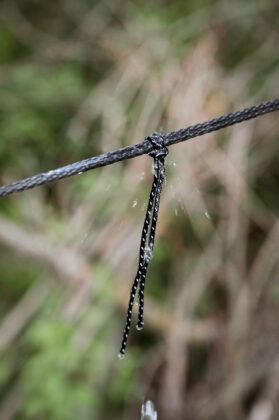Regenwasser wird beim Amazonas Traveller Set Forest entlang der mitgelieferten Schn&uuml;re abgeleitet. &copy; Sebastian Freiler