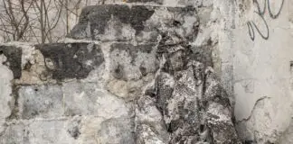 Interview with Phantomleaf inventor Florian Lenz