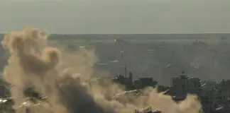 5 views of the world #011: What was? What is? What will be?