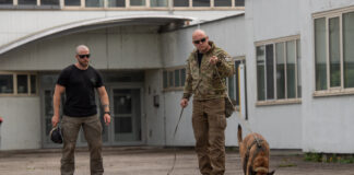 Efficient dog training: Interview with Kynotec Florian Schneider und Christof