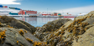 USA: What does Donald Trump want with Greenland? Blick auf Grönland – @Piitannguaq Egede auf Unsplash