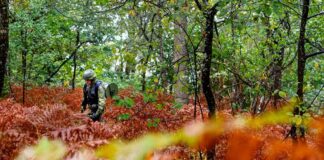 Micropol Fiberoptic receives order from Sweden ©Micropol