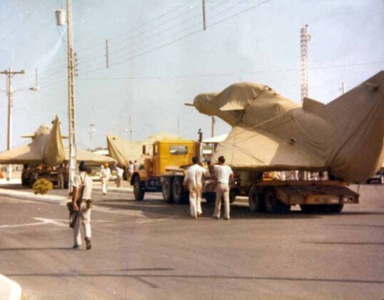 „Kfir“ – der Löwe der Lüfte – ©FAE