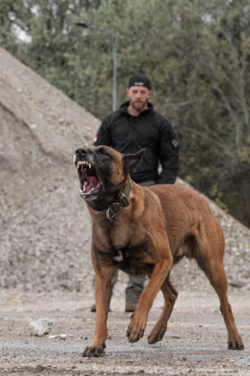 Kynotec &copy;Kynotec