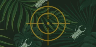 Shooting event from Armybug: Operation Green Hell Die "Operation Green Hell" von Armybug ist eine Schießveranstaltung in Vorarlberg. ©Armybug