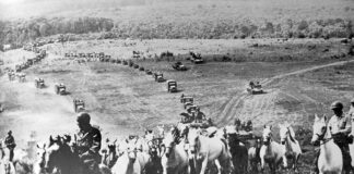 Vor 80 Jahren: Als die Cowboys die Lipizzaner retteten US-SOldaten mit Lipizzaner – ©The General George Patton Museum