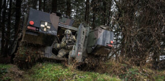 Österreich: Ernsthafte Sicherheitsdebatte dringend geboten! Gefechtsvorführung des Panzergrenadierbataillons 13 – ©Bundesheer/Zisser