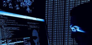 APT28: Russische Cybereinheit greift Europa an Hacker bei der Arbeit am Bildschirm -©Niederländisches Verteidigungsministerium