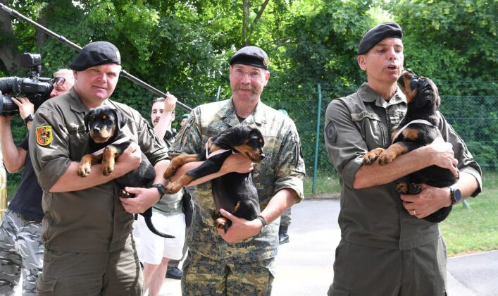 04512 c Patrick Huber33