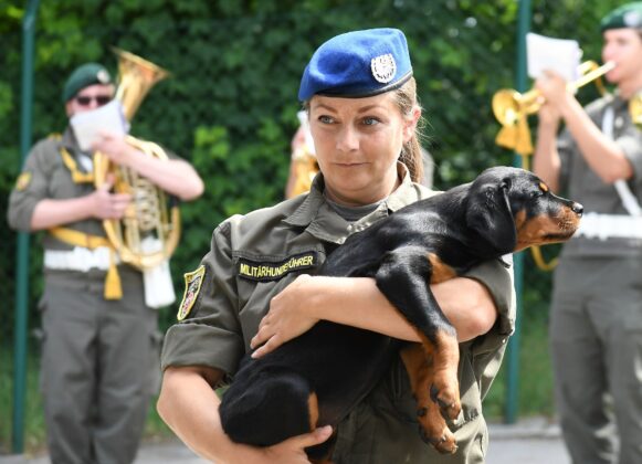 04512 c Patrick Huber21 1