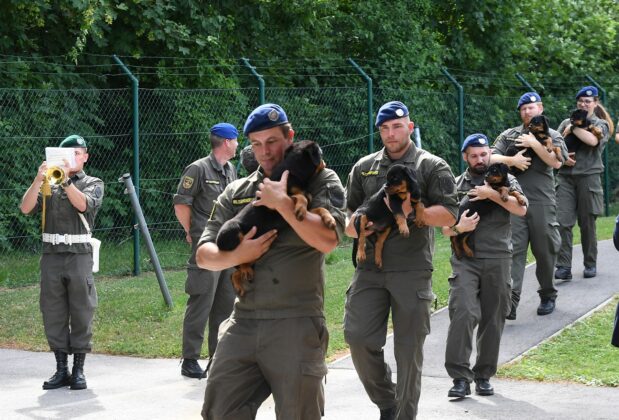 04512 c Patrick Huber19